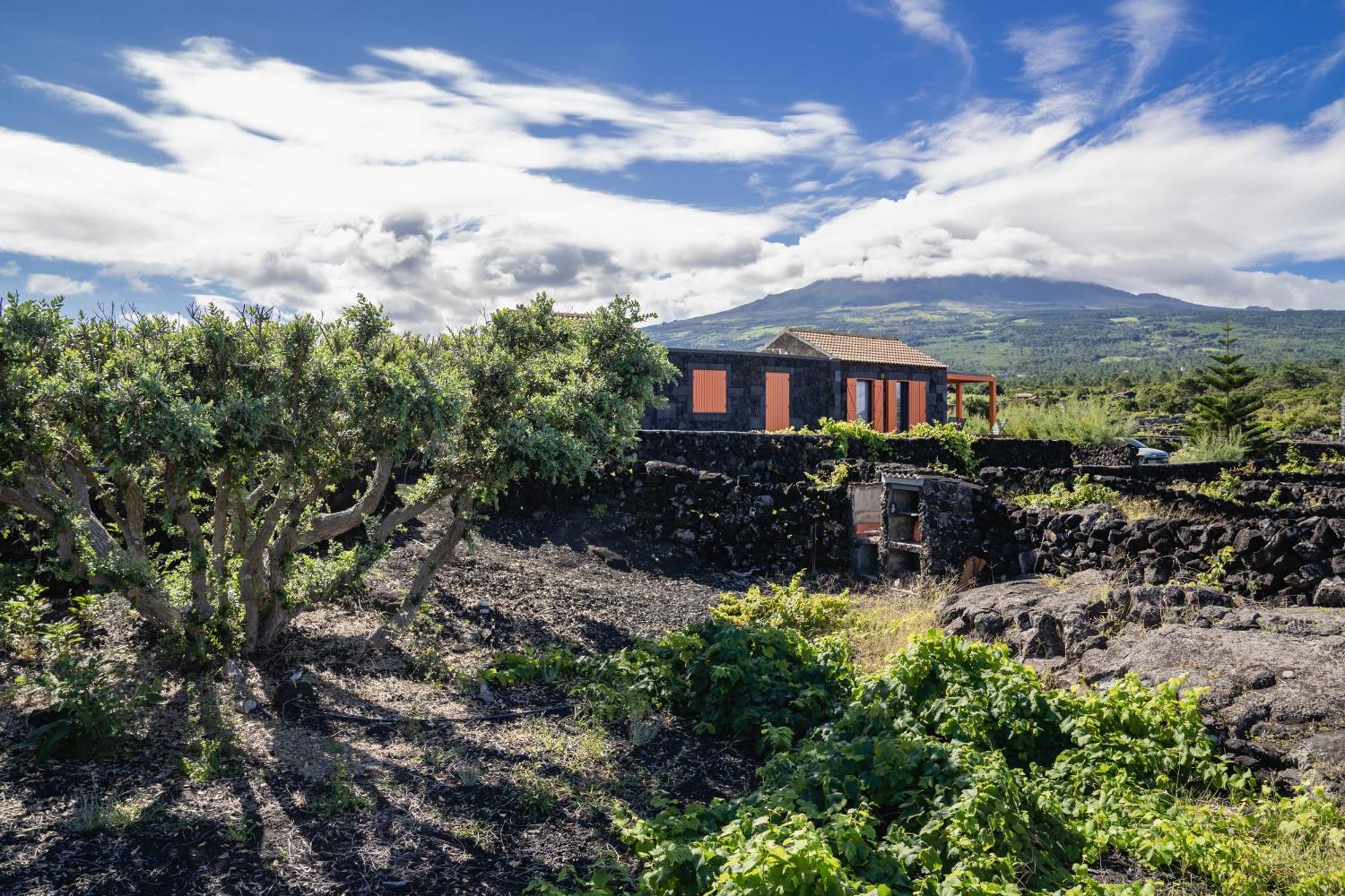 Paraíso do Triângulo Lajido Extérieur photo